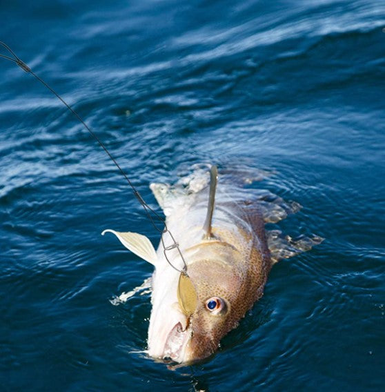 Cables de acero de pesca con ganchos (10 Uds)