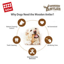 Juguete con madera real masticable mascotas talla L