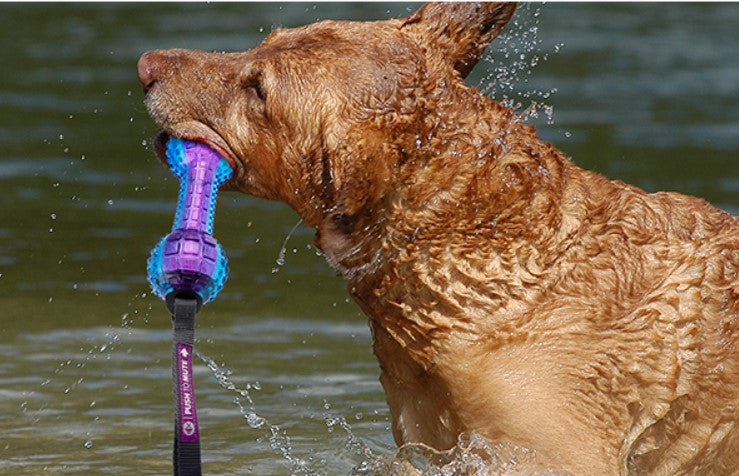 Hueso Push to mute correa y sonido para mascotas