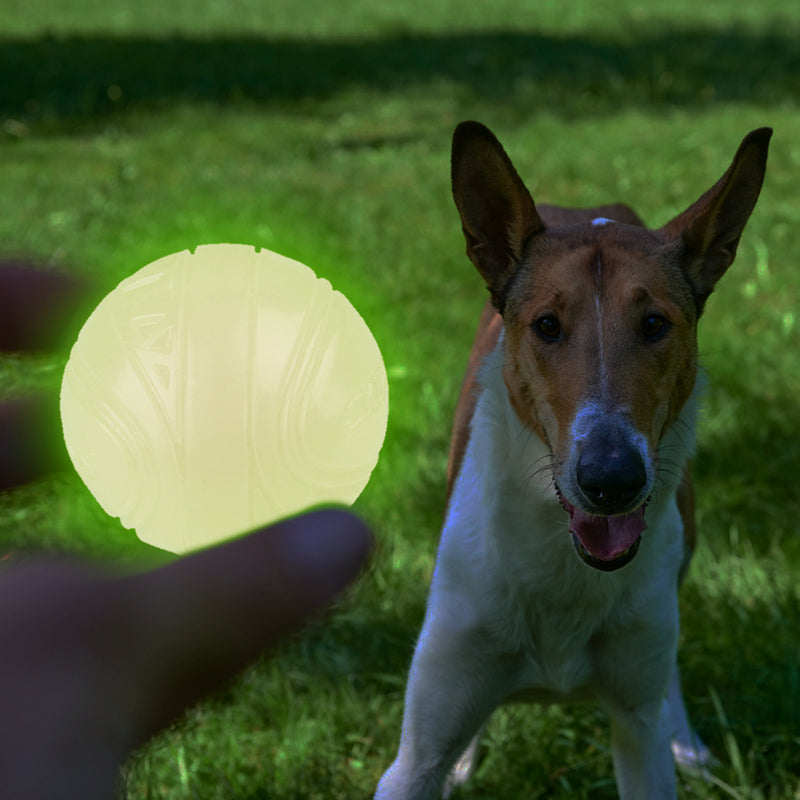 Pelota luminiscente neón de carga solar para mascota