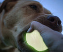 Pelota luminiscente neón de carga solar para mascota