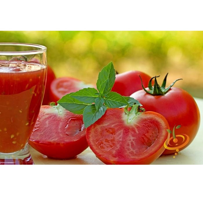 Semillas de tomate, Ace 55 (100% Heirloom/No Híbrido/No GMO). 15 semillas aproximadamente