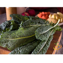 Semillas de kale (100% Heirloom/No Híbrido/No GMO). 55 semillas aproximadamente.