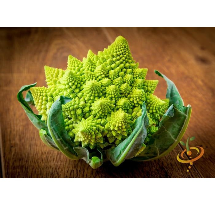 Semillas de brocoli, Romanesco Italia (100% Heirloom/No Híbrido/No GMO). 60 semillas aproximadamente