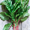 Semillas de acelga rosada Suiza (100% Heirloom/No Híbrido/No GMO). 25 semillas aproximadamente
