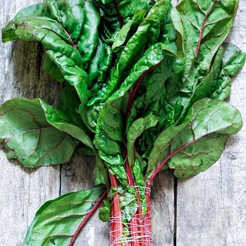 Semillas de acelga rosada Suiza (100% Heirloom/No Híbrido/No GMO). 25 semillas aproximadamente