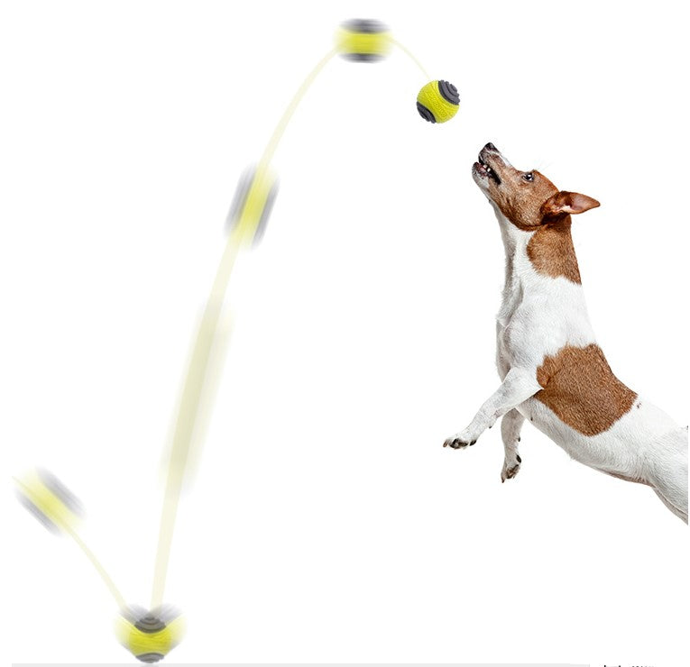 Pelota Duroflex amarilla gris M para mascota