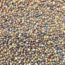 Semillas de rabano, sandia (100% Heirloom/No Híbrido/No GMO). 20 semillas aproximadamente
