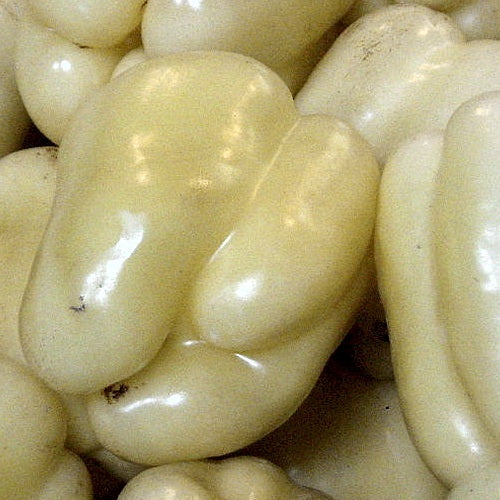 Semillas de pimenton, nube blanca. 10 semillas aproximadamente