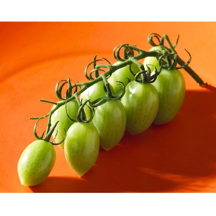 Semillas de tomate uva verde (100% Heirloom/No Híbrido/No GMO). 15 semillas aproximadamente