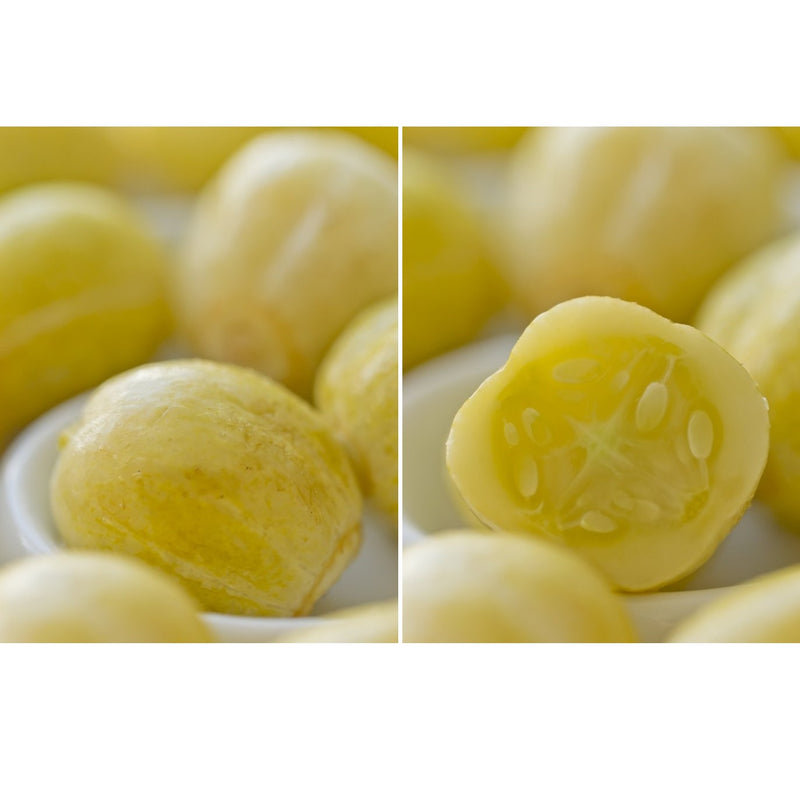 Semillas de pepino limón (100% Heirloom/No Híbrido/No GMO). 10 semillas aproximadamente.