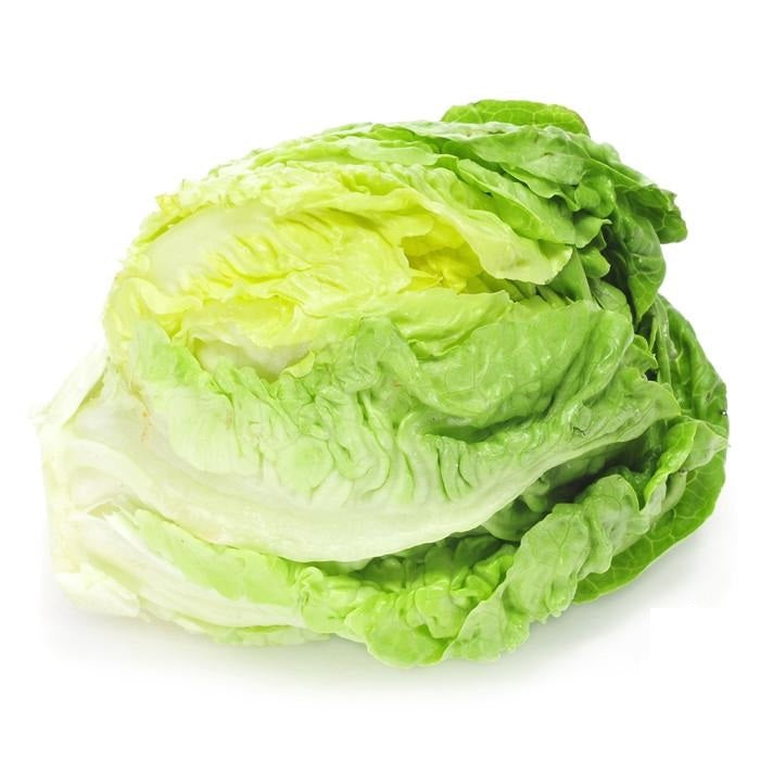 Semillas de lechuga, Crisphead (100% Heirloom/No Híbrido/No GMO). 190 semillas aproximadamente.