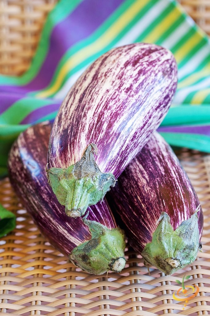 Semillas de berenjena, Pandora (100% Heirloom/No Híbrido/No GMO). 10 semillas aproximadamente.