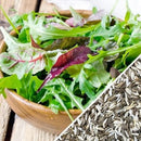 Semillas de lechuga, Mezcla Gourmet Mesclun (100% Heirloom/No Híbrido/No GMO). 200 semillas aprox.