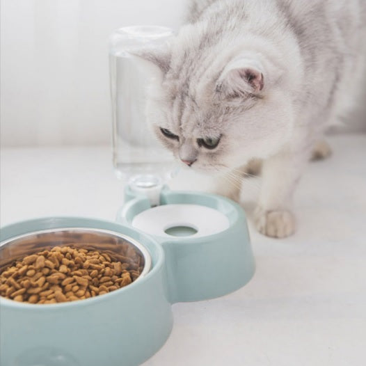 Tazón doble de agua y alimento para mascotas con base y soporte de plastico. Color Gris