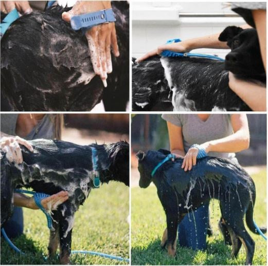 Manguera de silicona con cepillo masajadeor para bañar a tu mascota.