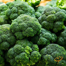 Semillas de brocoli, Calabrese (100% Heirloom/No Híbrido/No GMO). 50 semillas aproximadamente.