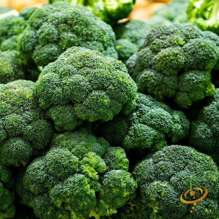 Semillas de brocoli, Calabrese (100% Heirloom/No Híbrido/No GMO). 50 semillas aproximadamente.
