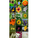 Semillas surtidas de flores silvestres, exoticas. Incluye 17 variedades