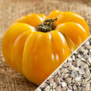 Semillas de tomate amarillo, Brandywine (100% Heirloom/No Híbrido/No GMO). 15 semillas aprox.