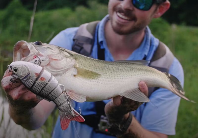 Señuelos articulados 6 Uds. pack variados