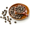 Semillas de Moringa