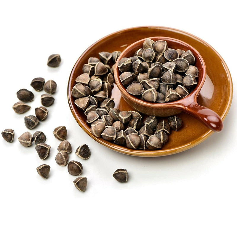 Semillas de Moringa