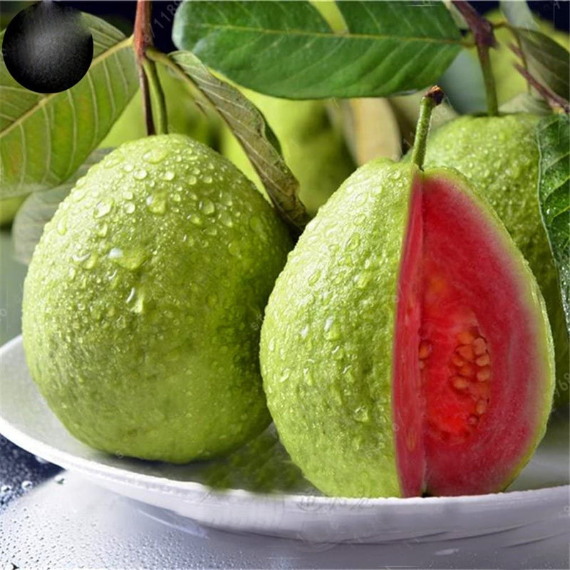 Semillas de Guayaba