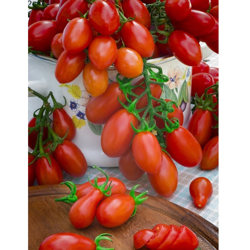 Semillas de tomate pera (100% Heirloom / No Híbrido / No GMO). 20 semillas aproximadamente