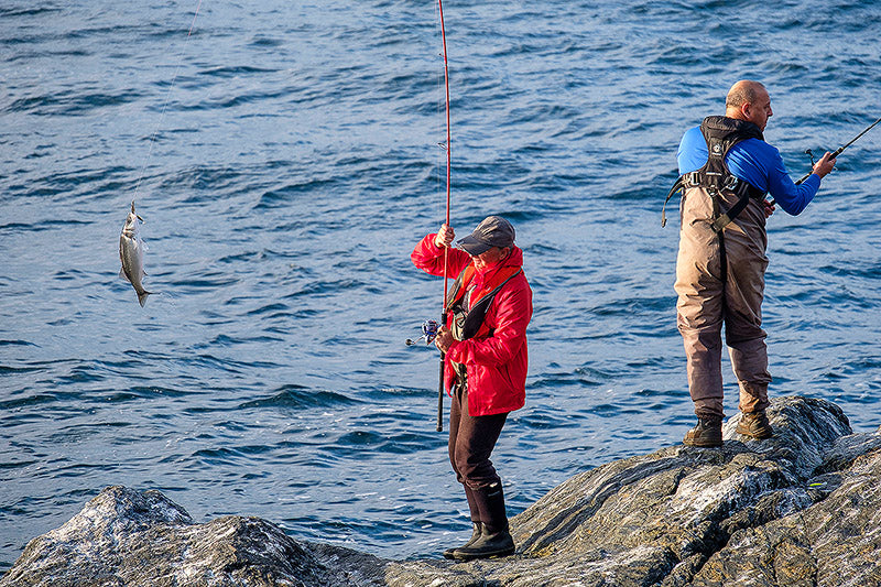 Señuelo Minnow lengua larga 14cm TOR