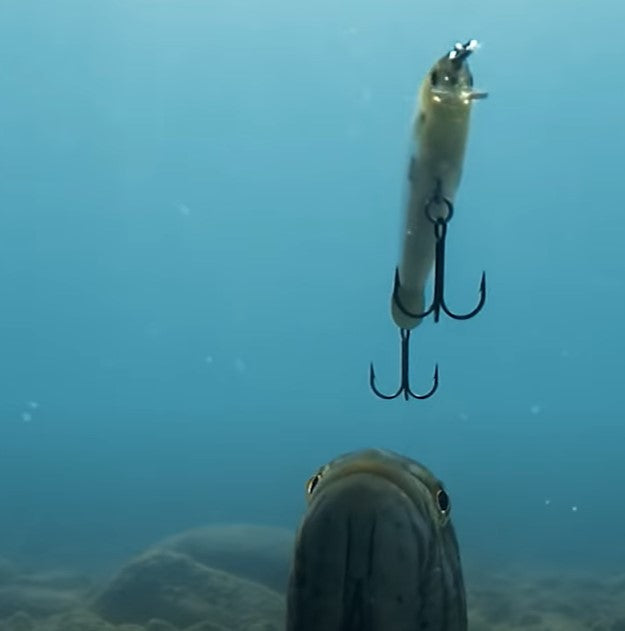 Señuelo Minnow Kit mixto 35 Uds.