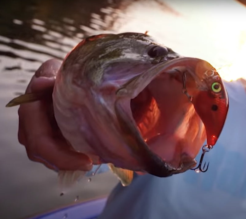 Señuelo Minnow Kit mixto 35 Uds.