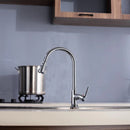 Grifo para Fregador de Cocina con manguera extraíble, Color Metal Cromado