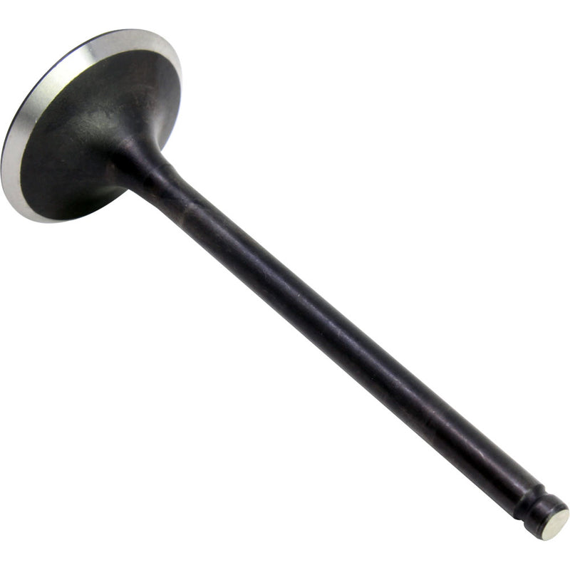 Valvula de admision (TX200)