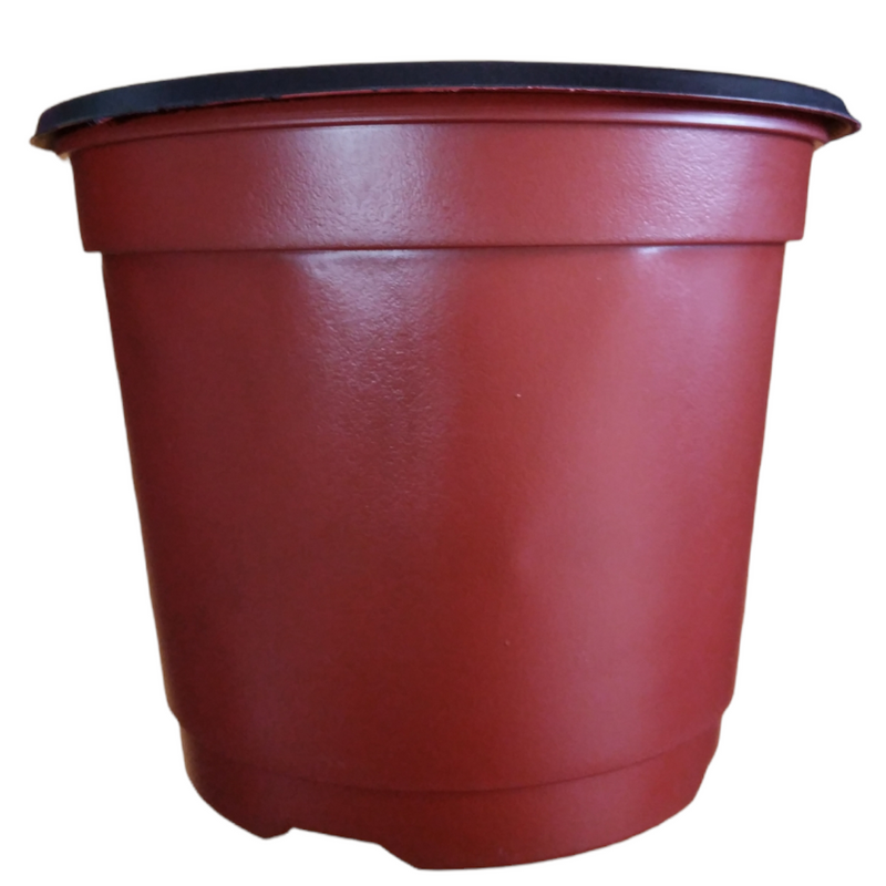 Pote para vivero 18 cm, color terracota