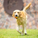 Pelota resistente X-FOAM naranja para mascota
