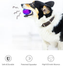 Pelota TPR Azul purpura para mascota M
