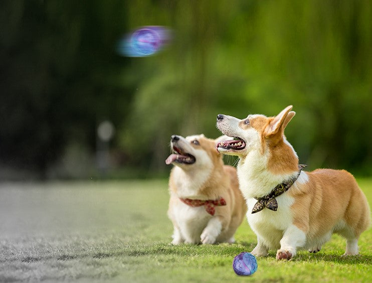 Pelota TPR Roja purpura para mascota Large