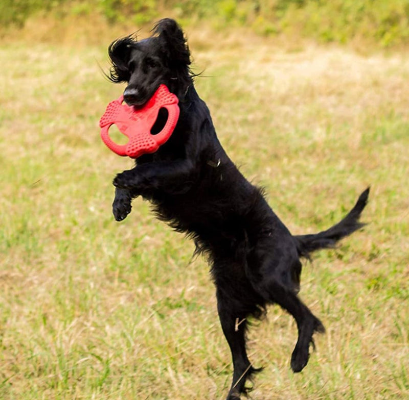 Frisbee Flying Tug 10" rojo para mascota