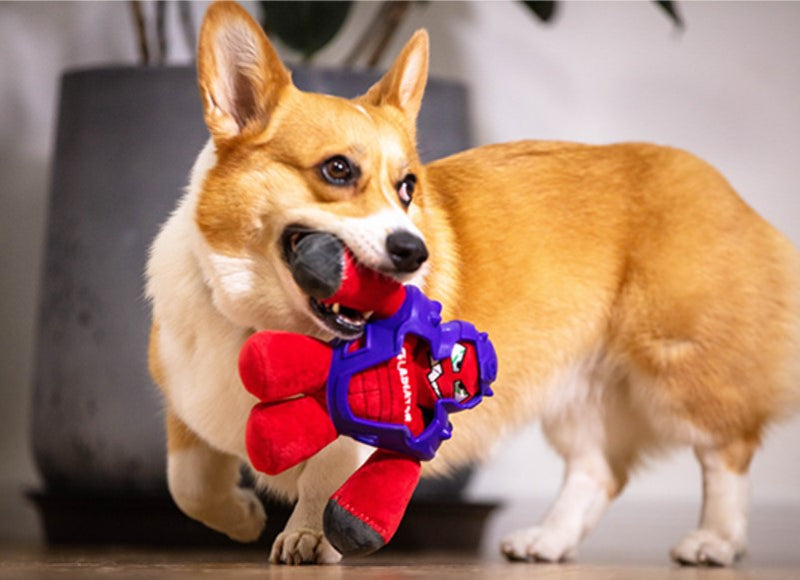 Peluche Gladiador Rojo muñeco para mascota