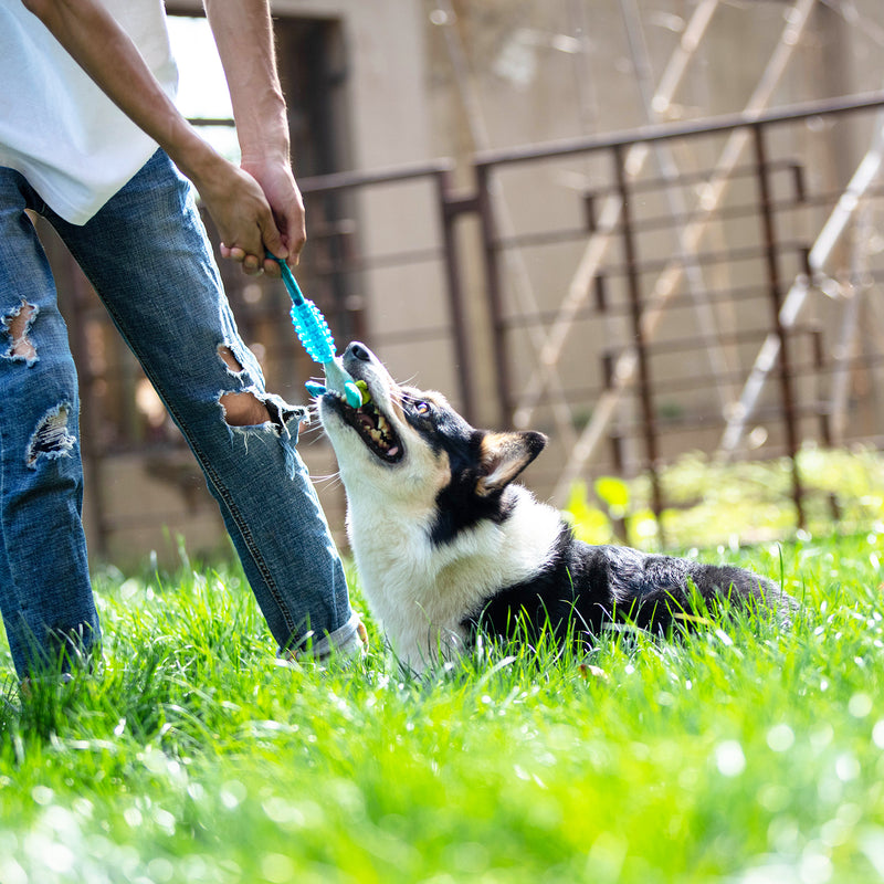Juguete Suppa conejo azul para mascotas pequeñas