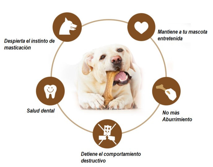 Juguete con madera real masticable para mascotas M