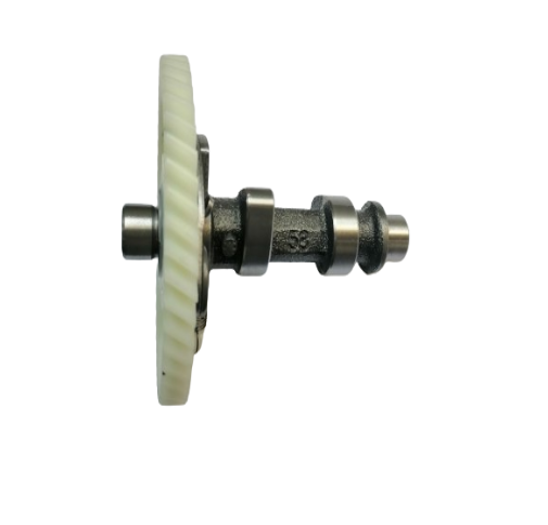 Conjunto del árbol de levas (QX00001129) CAMSHAFT ASSEMBLY