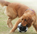 Pelota JUMBALL azul con asa para mascota