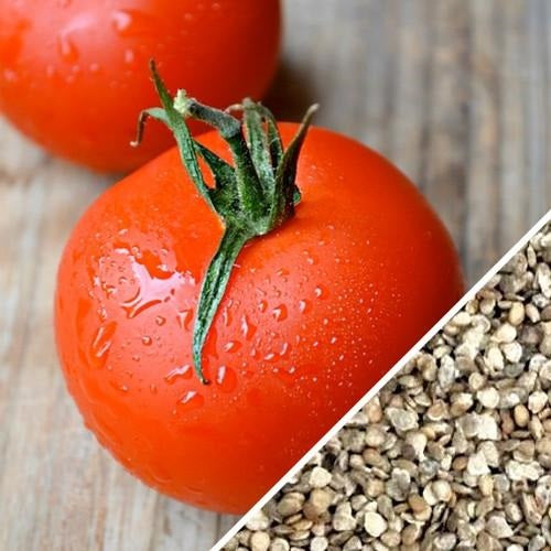 Semillas de tomate, Atkinson (100% Heirloom/No Híbrido/No GMO). 65 semillas aproximadamente