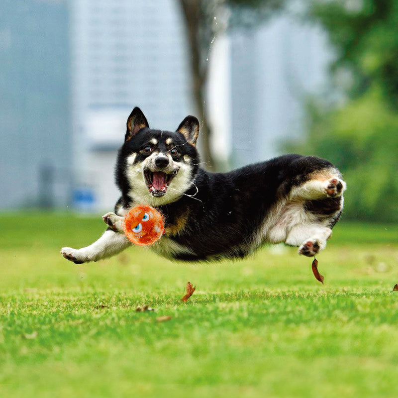 Pelota crazy ball tela naranja para mascota