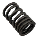 Resorte valvula de escape (TNT150)