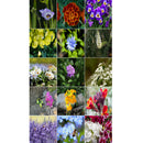 Semillas surtidas de flores fragantes. Incluye 18 variedades