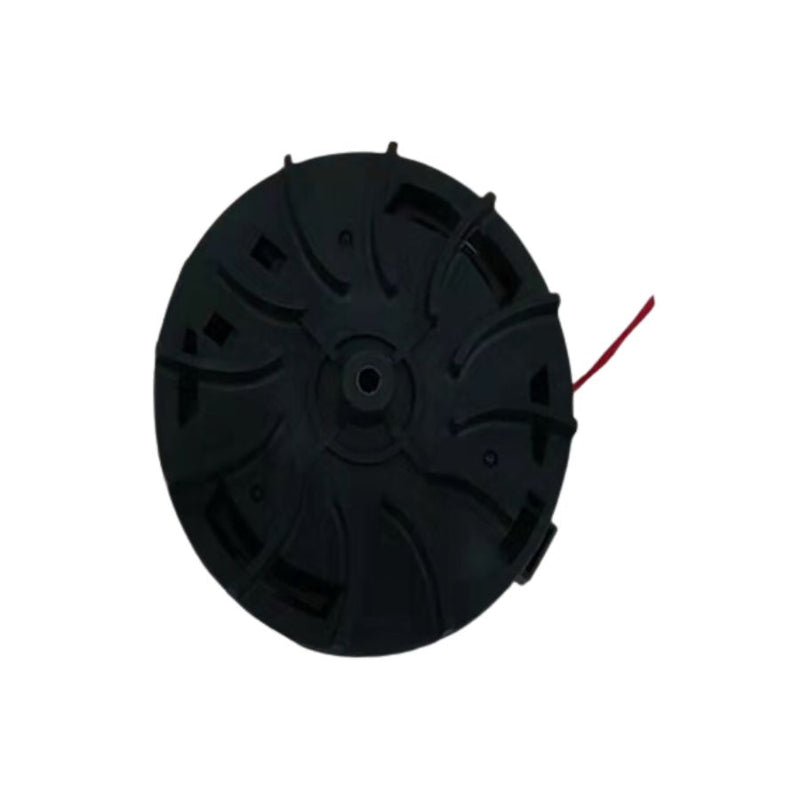 Timmer Grass (AAA20001302)