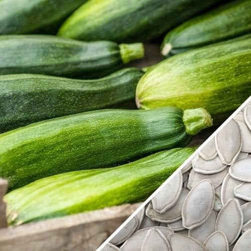 Semillas de zucchini (100% Heirloom/No Híbrido/No GMO). 10 semillas aproximadamente.